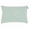 Pillow Canvas
